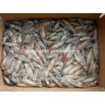 High quality frozen loligo squid for fishing bait